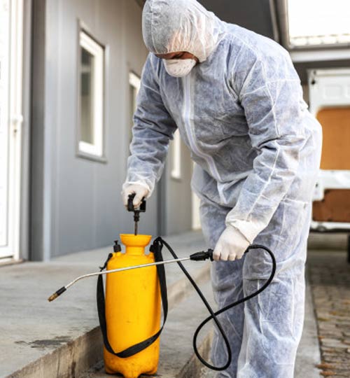 Απεντομώσεις